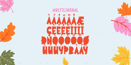 Slowmo Season Font Poster 11