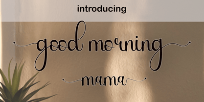 Bloomstone Script Font Poster 2