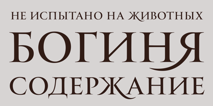 PF Monumenta Pro Font Poster 9