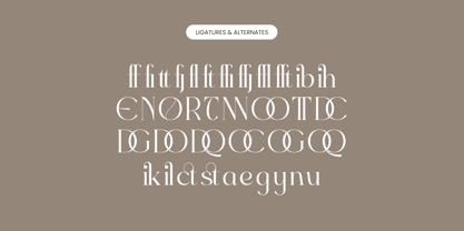 Eighty & Costina Font Poster 13