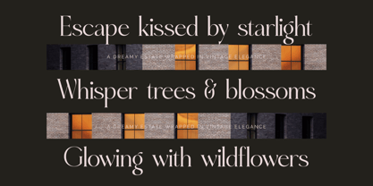 Eighty & Costina Font Poster 5