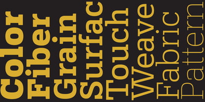 Buckram Font Poster 5