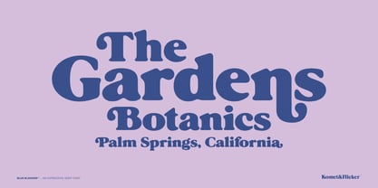 Blue Blossom Font Poster 3