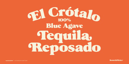 Blue Blossom Font Poster 8