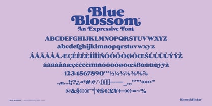 Blue Blossom Font Poster 15