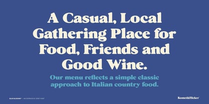 Blue Blossom Font Poster 9