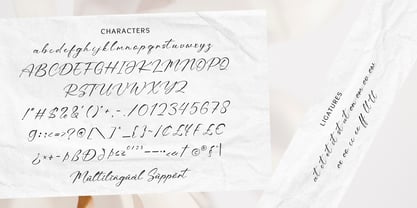 Peony Whisper Font Poster 10