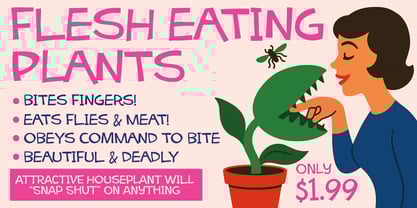 Millicent Pootwaddle Font Poster 3