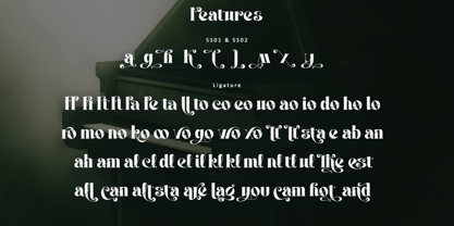 Carevo Font Poster 13