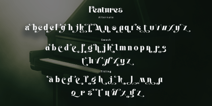 Carevo Font Poster 12