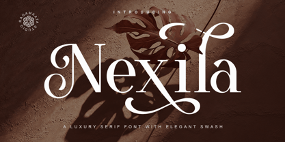Nexila Font Poster 1