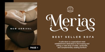 Nexila Font Poster 5