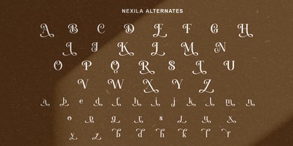 Nexila Font Poster 9