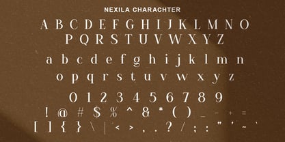 Nexila Font Poster 8