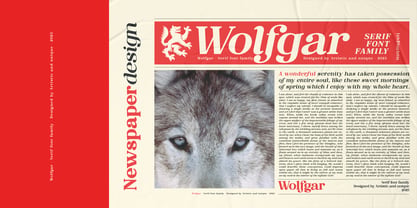 Wolfgar Font Poster 11