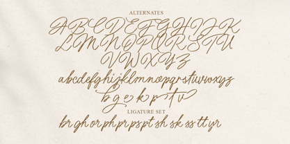 Rich Relation Font Poster 5