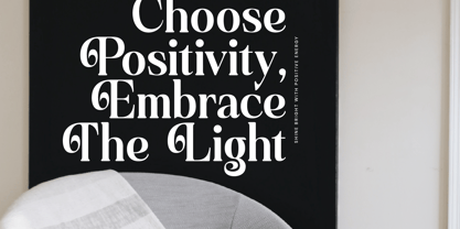 Quarky Kitchen Font Poster 10