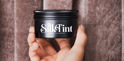 Quarky Kitchen Font Poster 7