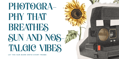 Quarky Kitchen Font Poster 2