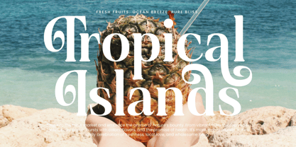 Quarky Kitchen Font Poster 9