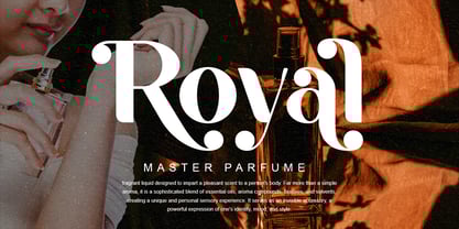 Bufagis Font Poster 3