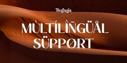 Bufagis Font Poster 10