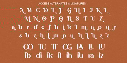 Bufagis Font Poster 9