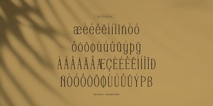 Reftoliya Font Poster 11