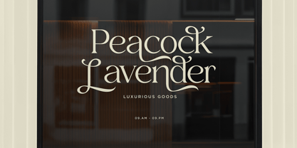 Xaviera Font Poster 7