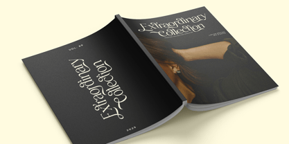 Xaviera Font Poster 8