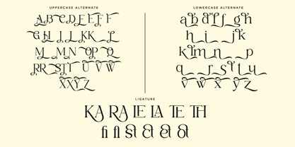 Xaviera Font Poster 12