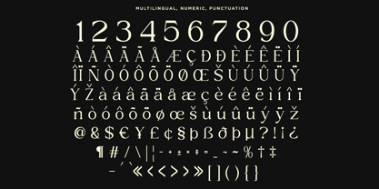 Xaviera Font Poster 13