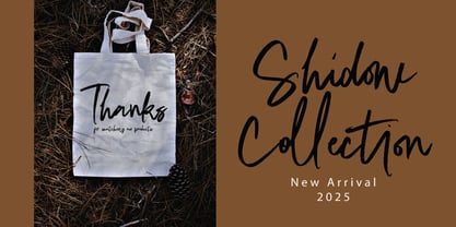 Staqila Signature Font Poster 4