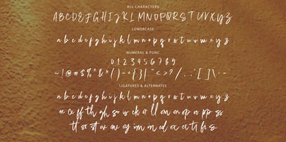 Staqila Signature Font Poster 3