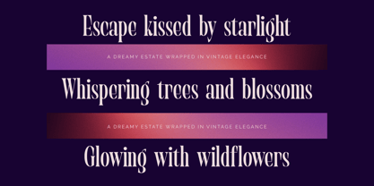 Begosta Font Poster 4