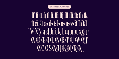 Begosta Font Poster 14