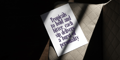 Begosta Font Poster 8