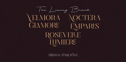 Briton Pair Font Poster 9