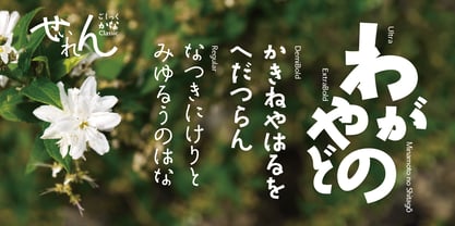 Seigo Kana Classic OT Font Poster 5