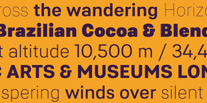 Asperia Variable Font Poster 3