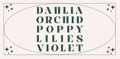 Fleur Mirage Font Poster 13