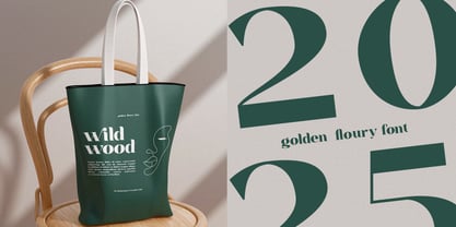 Fleur Mirage Font Poster 9