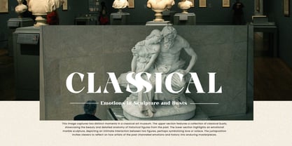 Fleur Mirage Font Poster 4