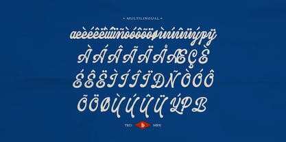 Replica Village Font Poster 11