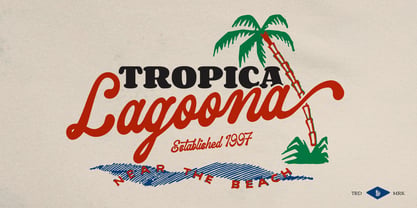 Replica Village Font Poster 4