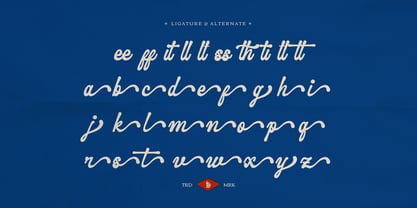 Replica Village Font Poster 12