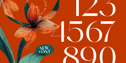 Strikes Against Font Poster 15