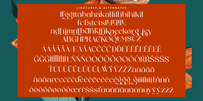 Strikes Against Font Poster 14