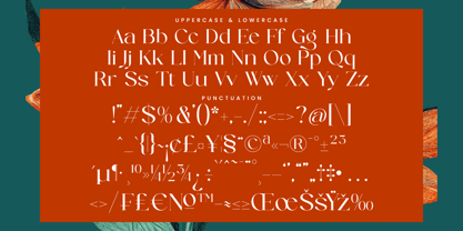 Strikes Against Font Poster 13