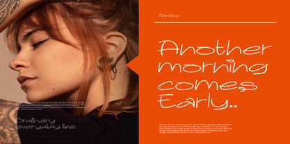 Fantine Font Poster 6
